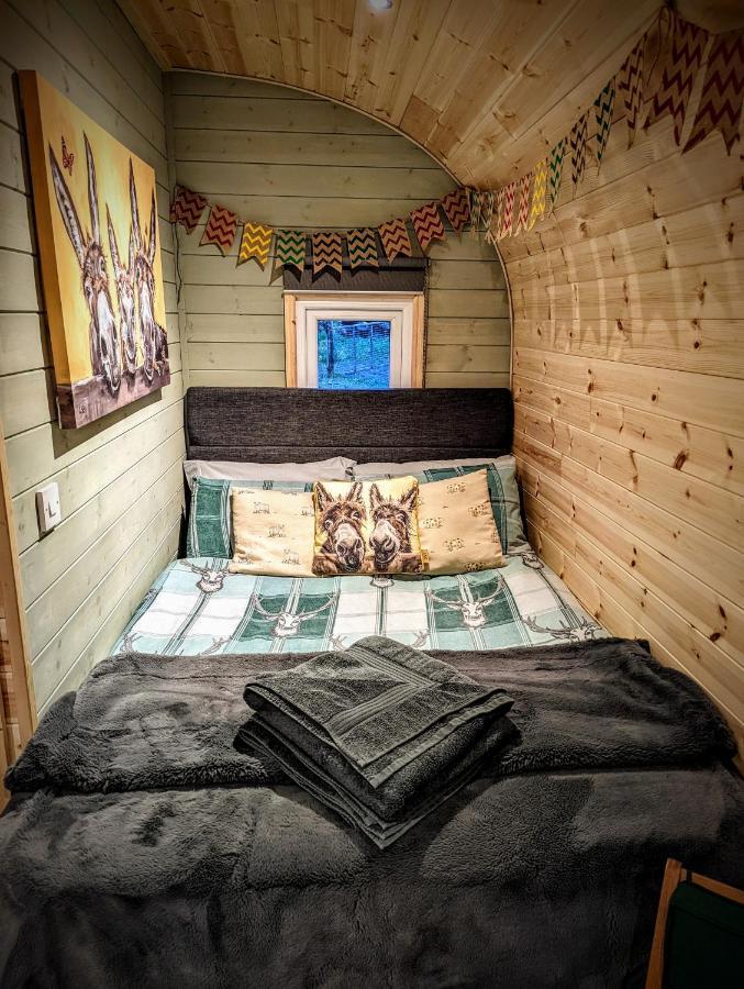 فيلا Emlyn'S Coppice - Luxury Woodland Glamping هوليويل المظهر الخارجي الصورة