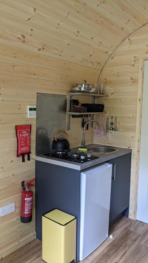 فيلا Emlyn'S Coppice - Luxury Woodland Glamping هوليويل المظهر الخارجي الصورة