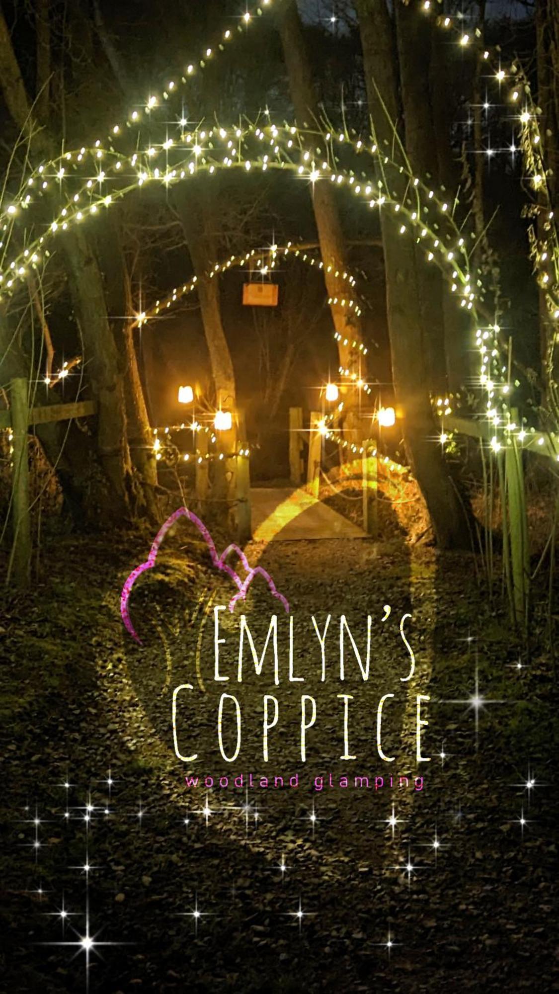 فيلا Emlyn'S Coppice - Luxury Woodland Glamping هوليويل المظهر الخارجي الصورة